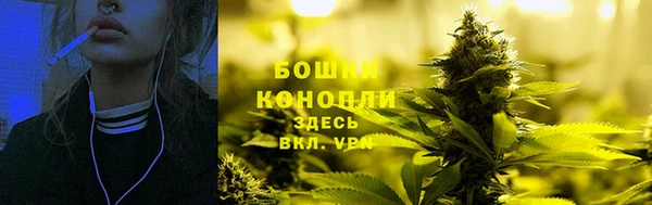 ПСИЛОЦИБИНОВЫЕ ГРИБЫ Волоколамск