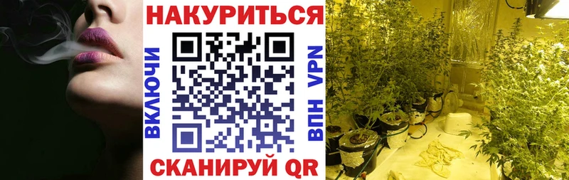 где можно купить   Черкесск  Канабис Bruce Banner 